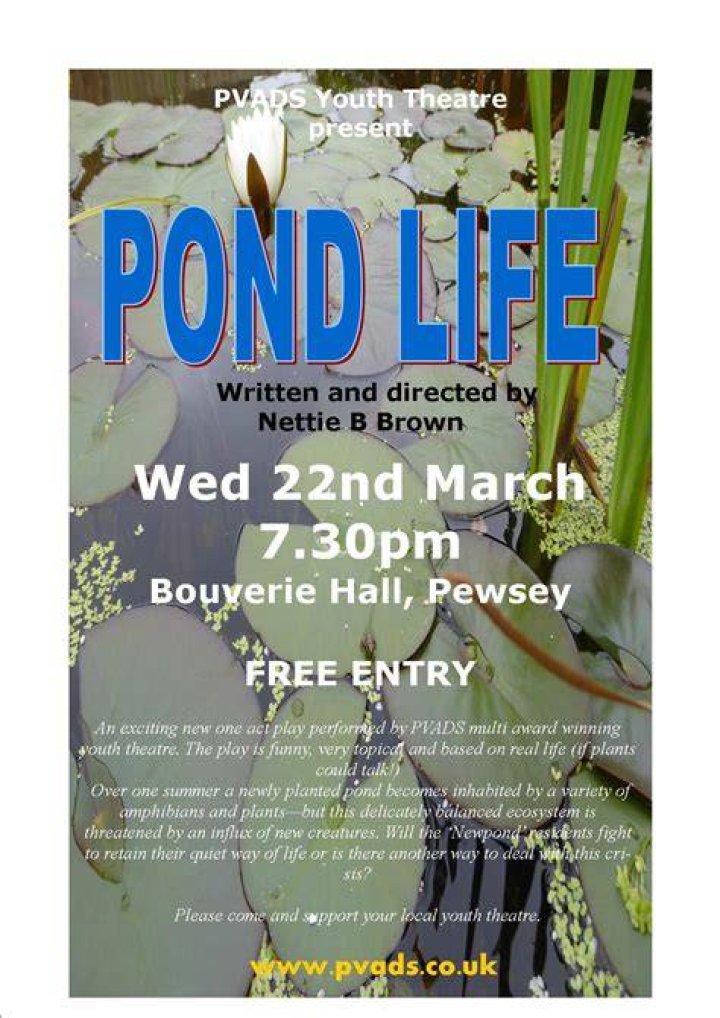 Pond Life (2017)