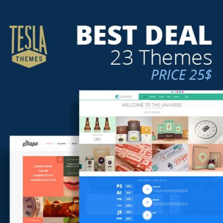 Responsive WordPress Themes TeslaThemes