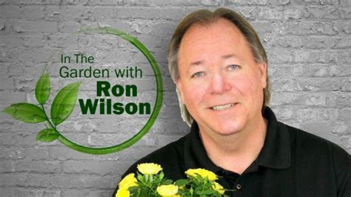 Ron Wilson