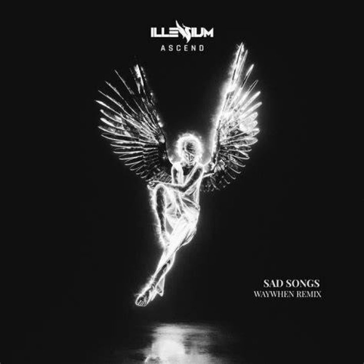 Sad Songs - Illenium, Said The Sky - Super Singer 8