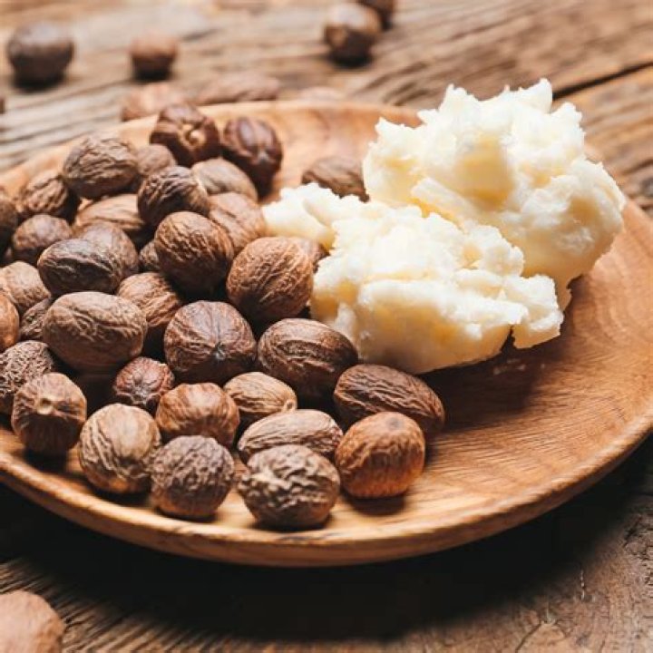 shea butter and shea nuts shea butter and shea nuts