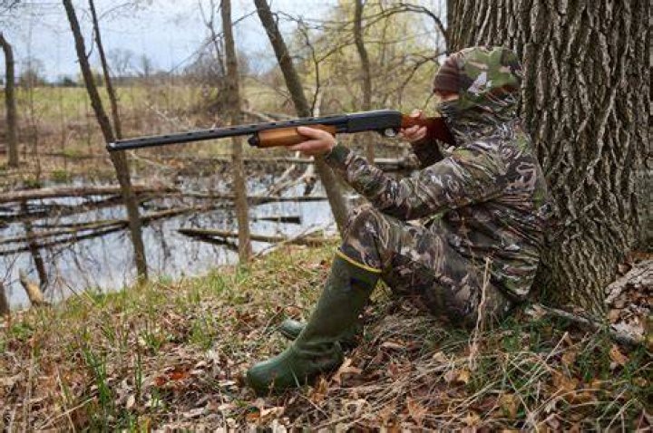shotgun hunting image shotgun hunting image