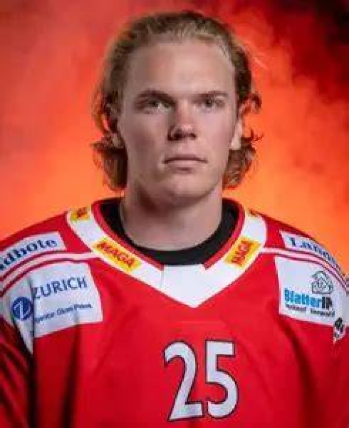 Silvan Landolt