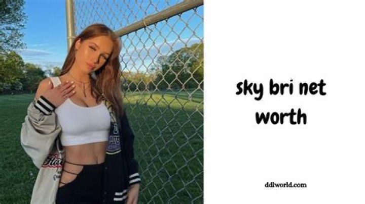sky bri financial success sky bri financial success