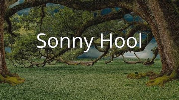 Sonny Hool