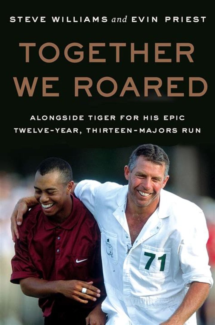 steve williams other partnerships steve williams other partnerships