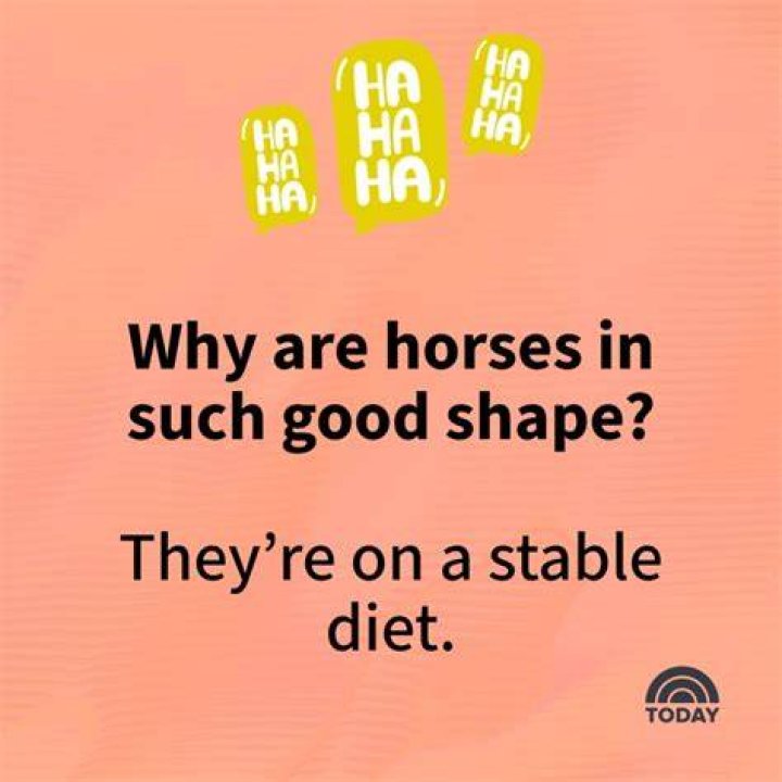 stupidest jokes stupidest jokes