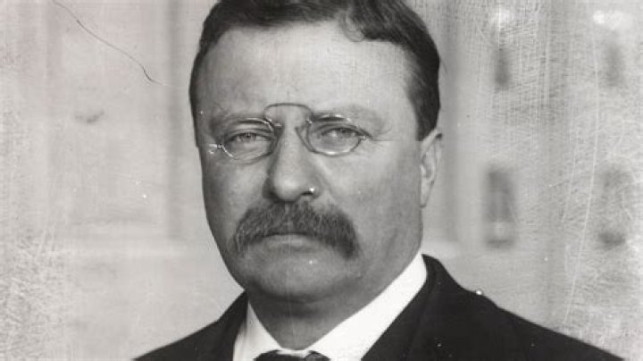 Theodore Roosevelt contributions