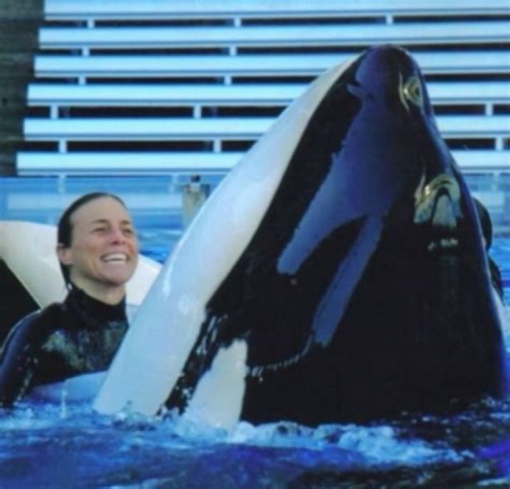 Tilikum Kills Dawn Leaked Footage: Watch Dawn Brancheau Video Tilikum Kills Dawn Leaked