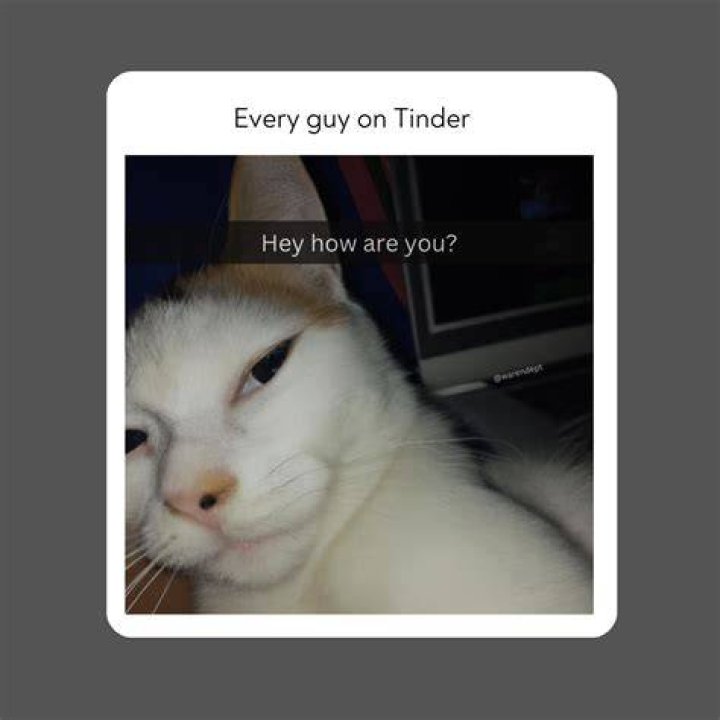 tinder memes header