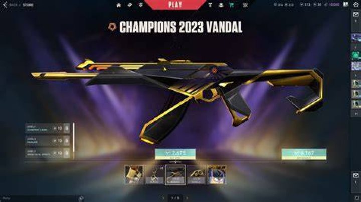 Valorant Champions Bundle