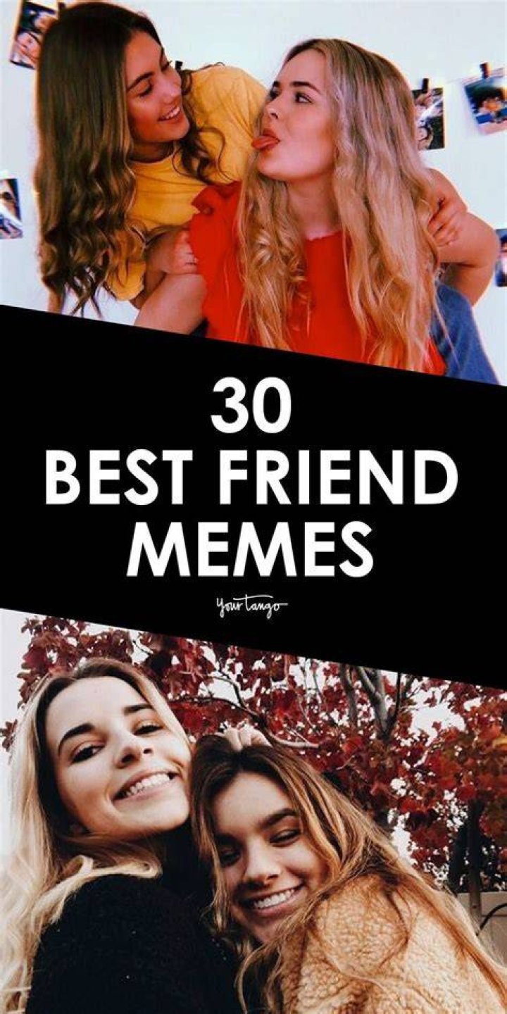 Witty best friend memes collection